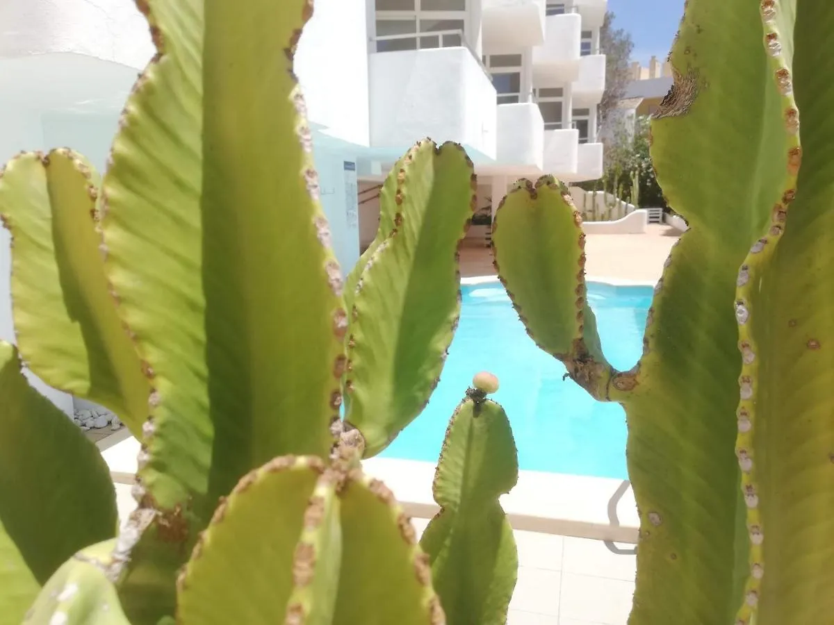 Апартаменты Apartamentos Ibiza Колонья Сант Джордин